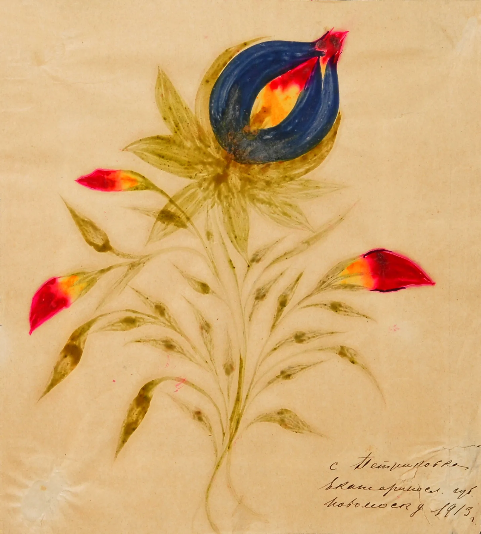 Синій пуп'янок