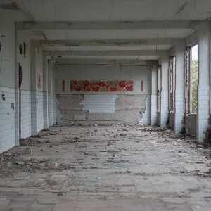 Руїни фабрики (2017 рік, фото Марії Савоскули) 4